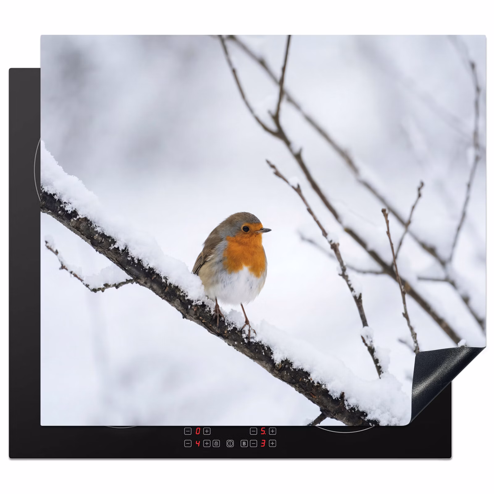 Induction hob cover - Robin - Branch - Snow - Winter - Lively — 1
