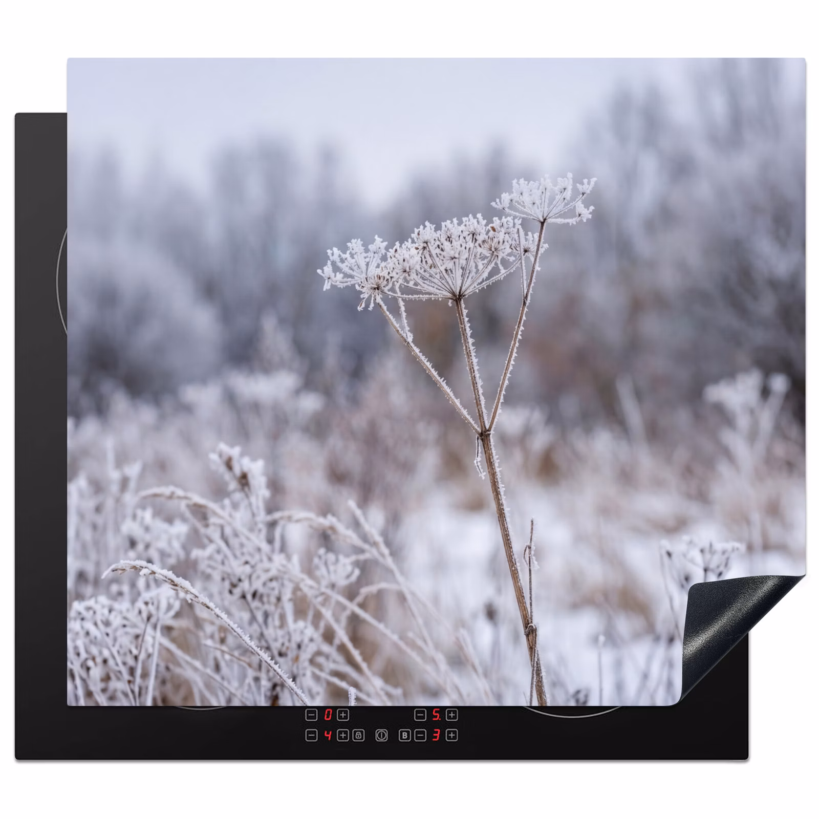 Induction hob cover - Screen flower - Ripe - Crystals - Winter - Delicate — 1