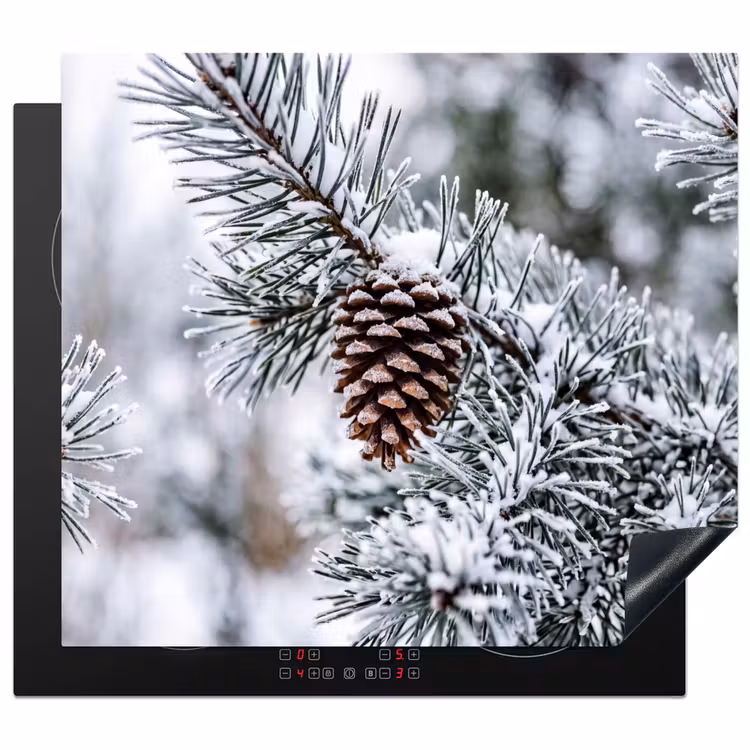 Induction hob cover - Pine cone - Branch - Snow - Winter - Atmospheric — 1