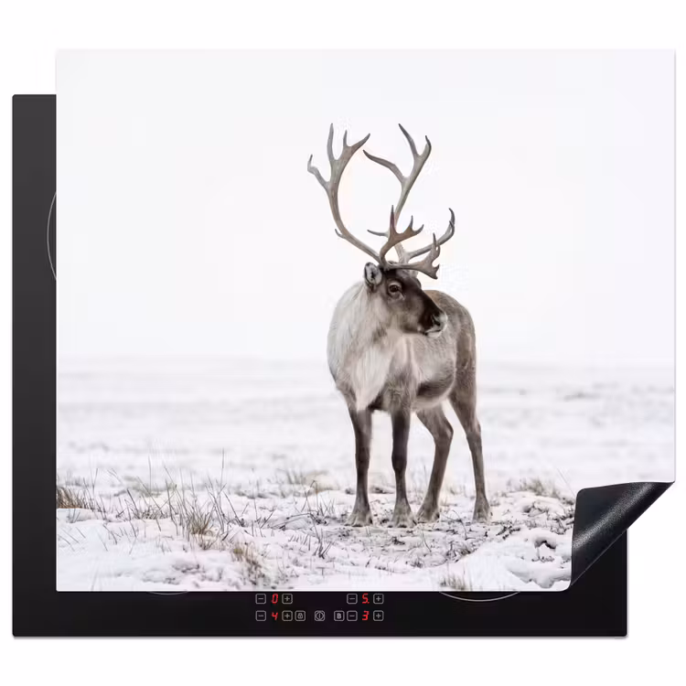 Induction hob cover - Reindeer - Antlers - Snow - Winter — 1