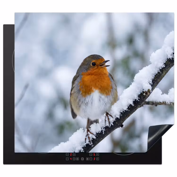 Induction hob cover - Robin - Branch - Snow - Winter - Lively — 1