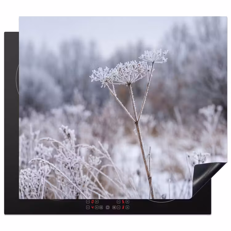 Induction hob cover - Screen flower - Ripe - Crystals - Winter - Delicate — 1
