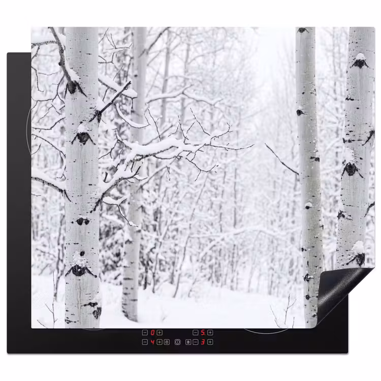 Induction hob cover - Birch trees - Snow - Winter - Forest - White — 1