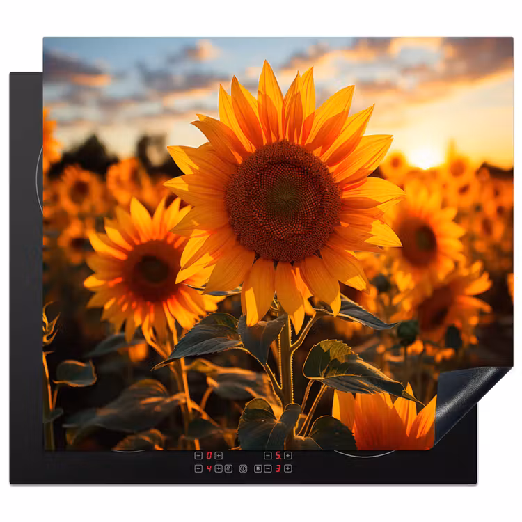 Induction hob cover - Sunflower - Sunset - Flowers - Nature - Yellow — 1