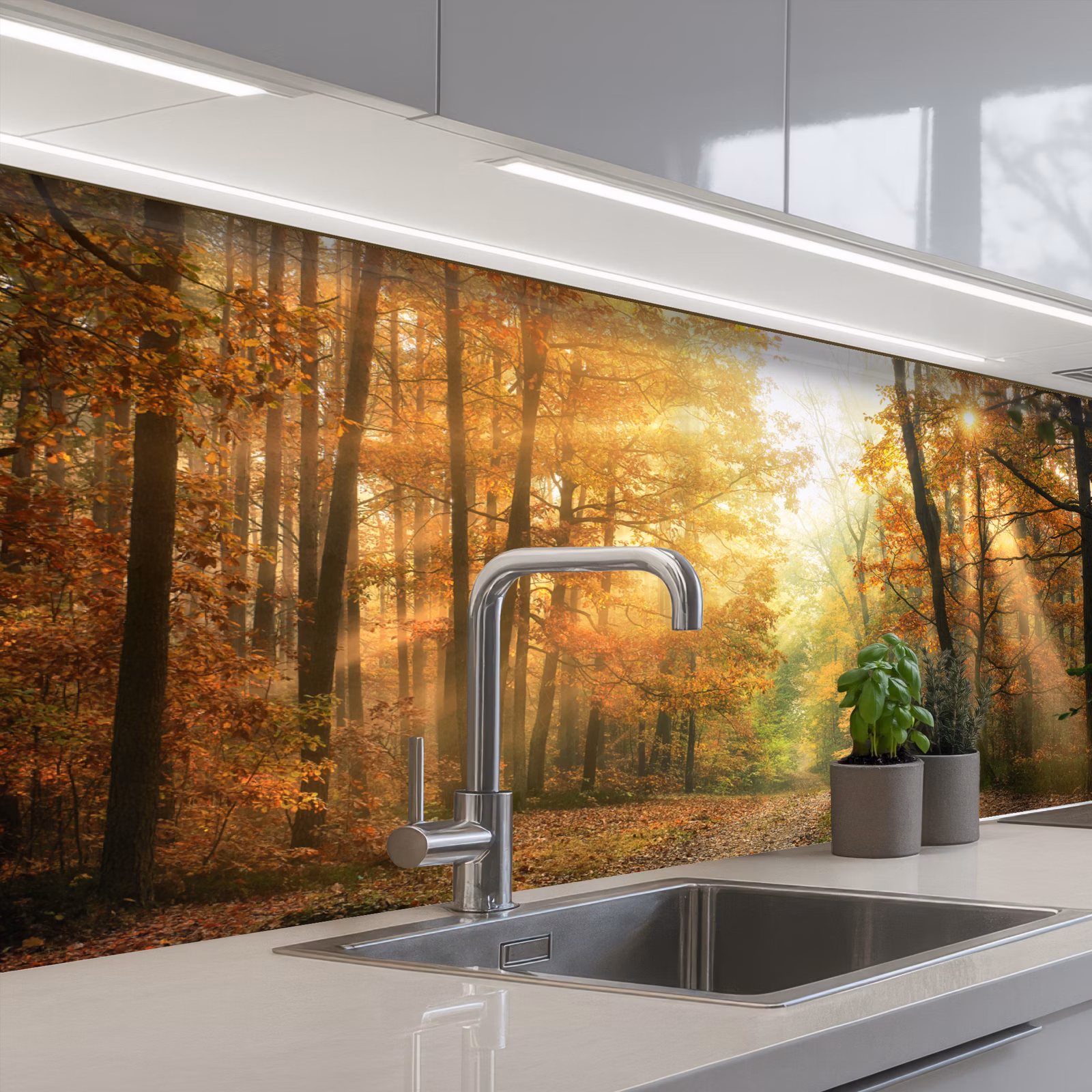 Kitchen splashback - Forest - Autumn - Sun - Landscape - Nature - Trees - Leaves — 1