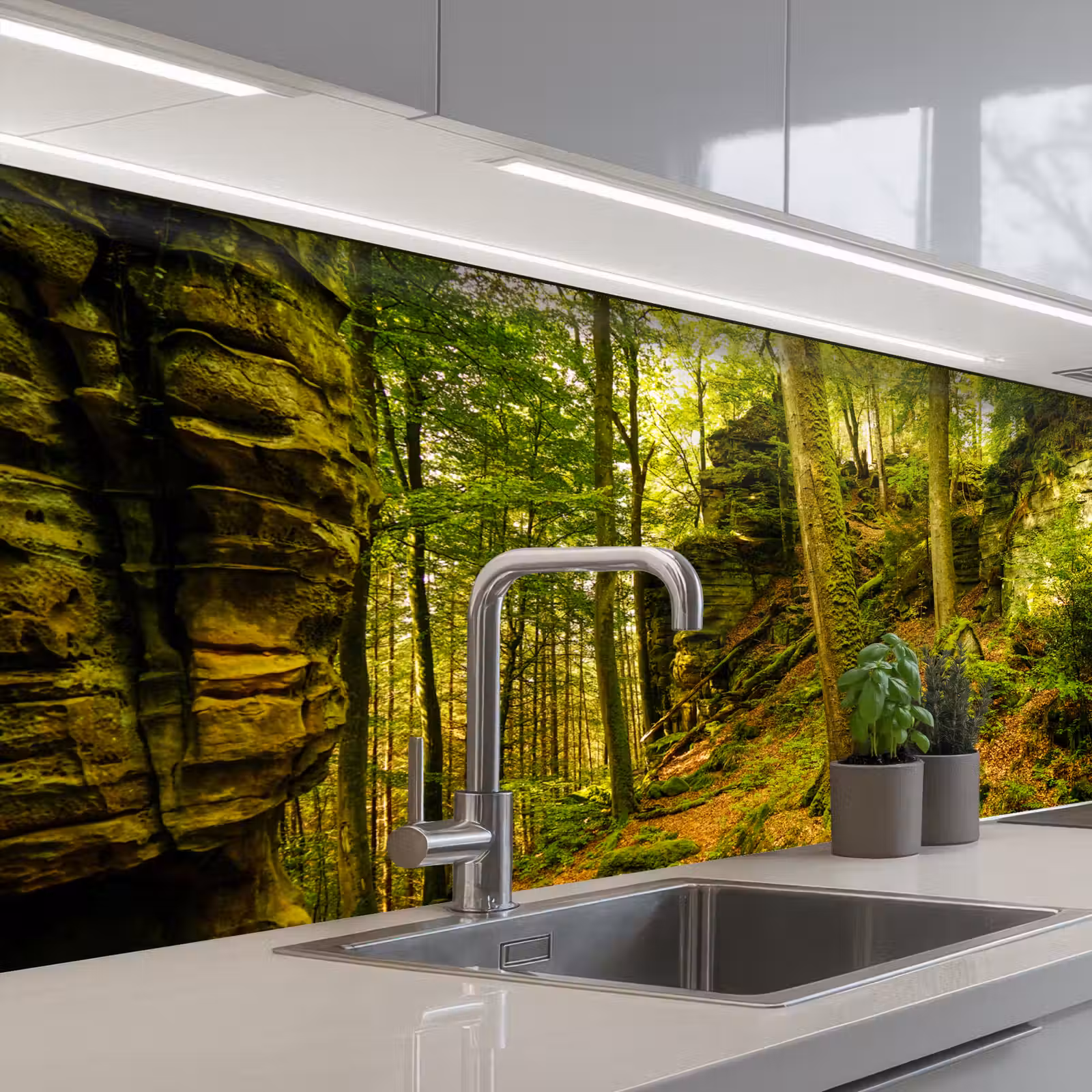 Kitchen splashback - Trees - Stone - Forest - Nature - Plants — 1