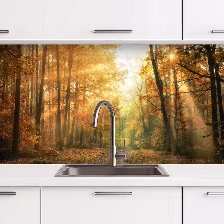 Kitchen splashback - Forest - Autumn - Sun - Landscape - Nature - Trees - Leaves — 3