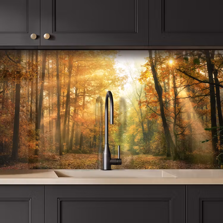 Kitchen splashback - Forest - Autumn - Sun - Landscape - Nature - Trees - Leaves — 5