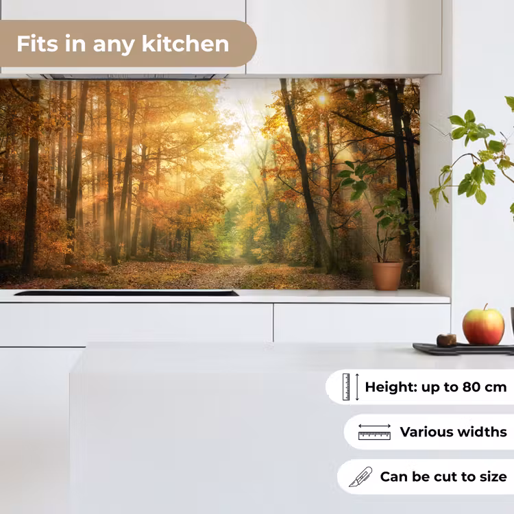 Kitchen splashback - Forest - Autumn - Sun - Landscape - Nature - Trees - Leaves — 6