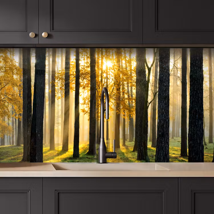 Kitchen splashback - Forest - Sun - Trees - Grass - Landscape - Nature — 5