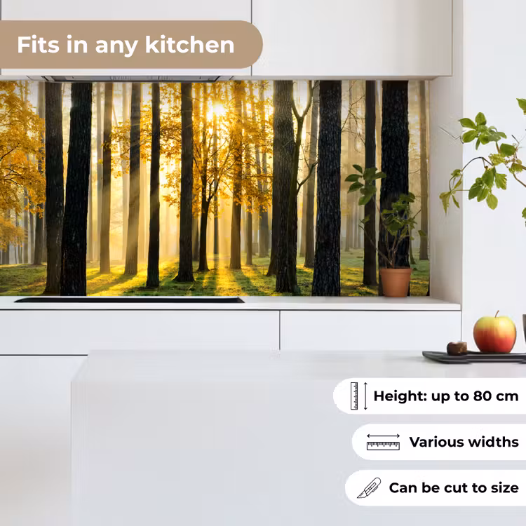 Kitchen splashback - Forest - Sun - Trees - Grass - Landscape - Nature — 6