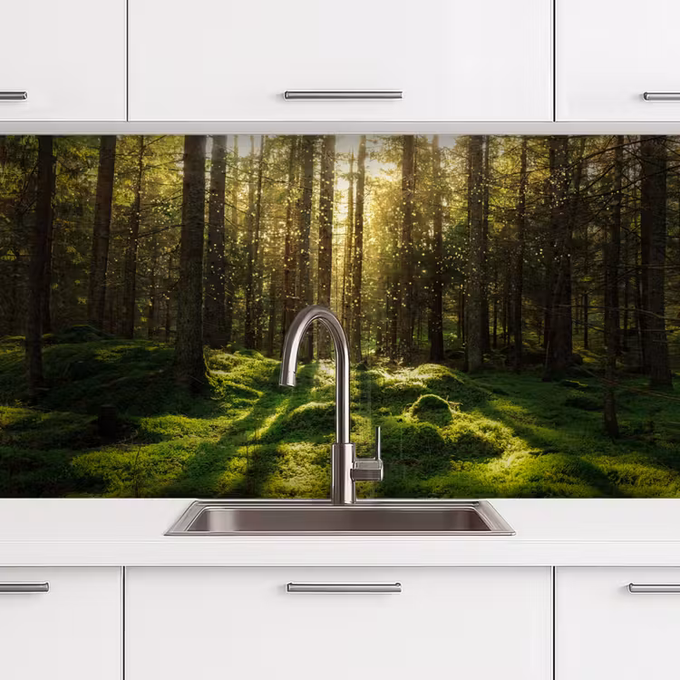 Kitchen splashback - Trees - Forest - Moss - Plants - Sun - Nature — 3