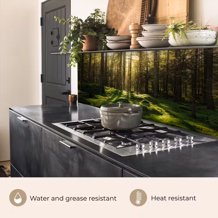 Kitchen splashback - Trees - Forest - Moss - Plants - Sun - Nature — 4