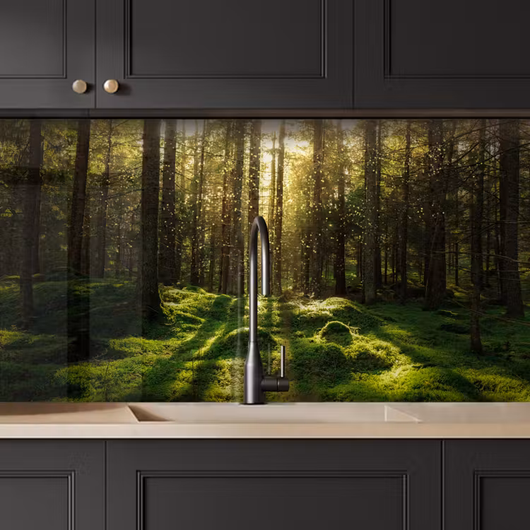 Kitchen splashback - Trees - Forest - Moss - Plants - Sun - Nature — 5