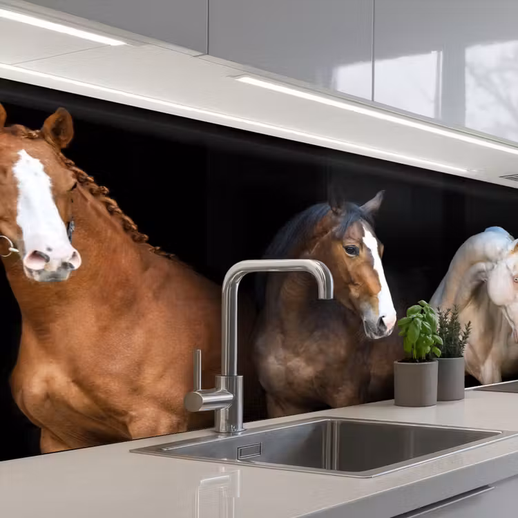 Kitchen splashback - Horse - Animals - Black — 2