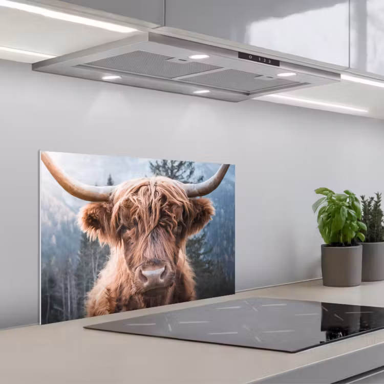 Kitchen splashback for hob - Highland Guardian — 1