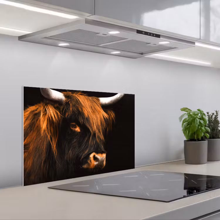 Kitchen splashback for hob - Mystical Gaze — 1