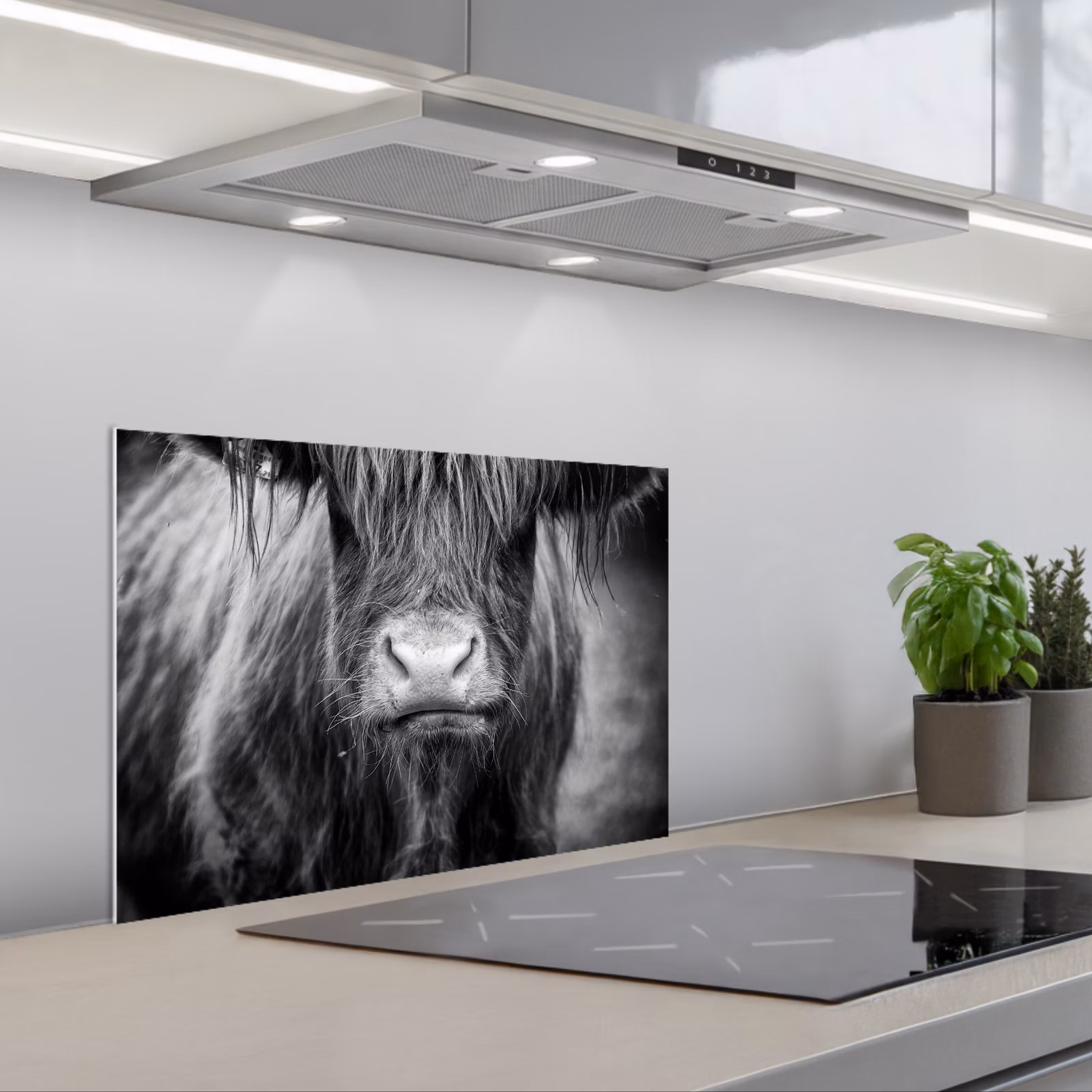 Kitchen splashback for hob - Scottish Highlander - Cow - Black - White - Animals — 1