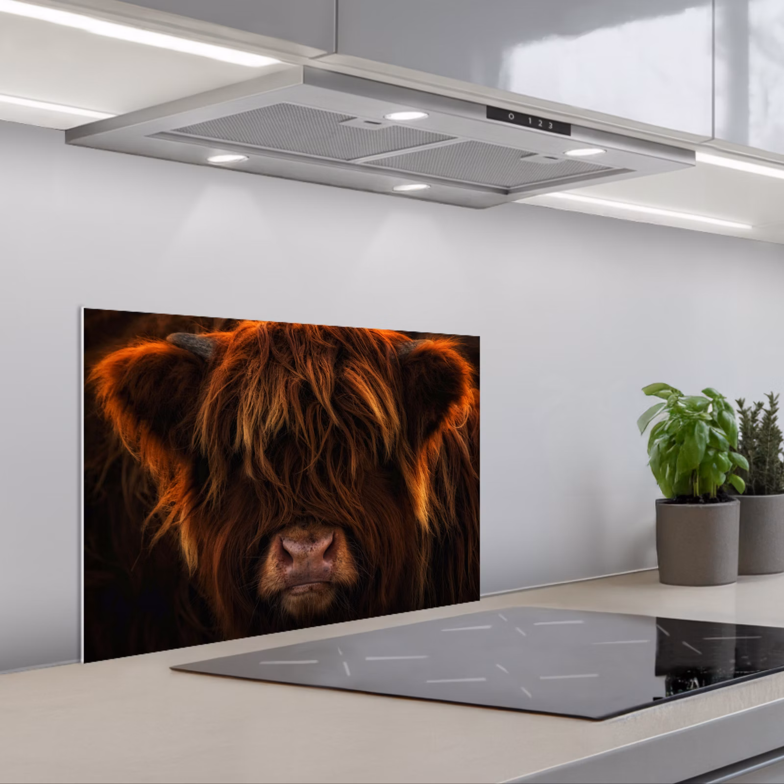 Kitchen splashback for hob - Scottish Highlander - Cow - Portrait - Animals — 1