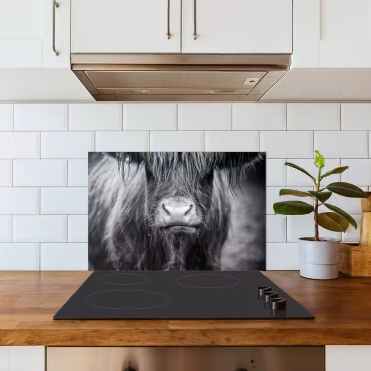 Kitchen splashback for hob - Scottish Highlander - Cow - Black - White - Animals — 3
