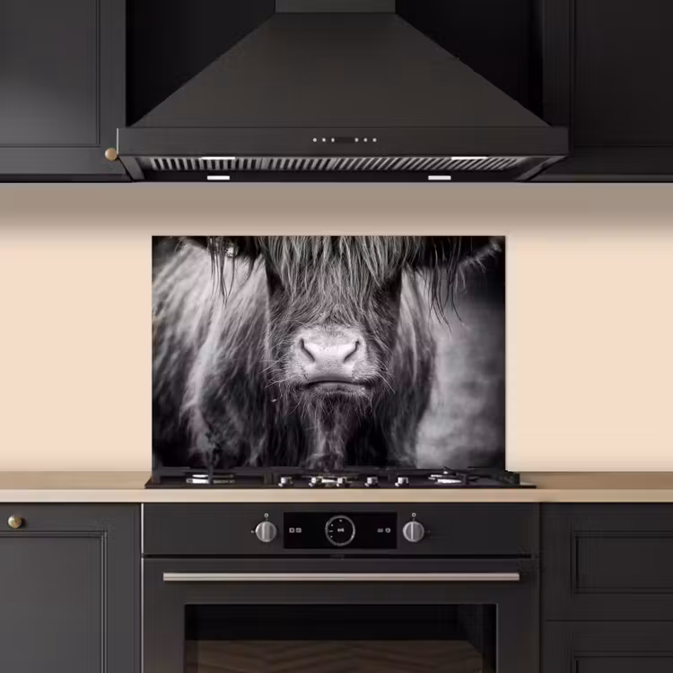 Kitchen splashback for hob - Scottish Highlander - Cow - Black - White - Animals — 5