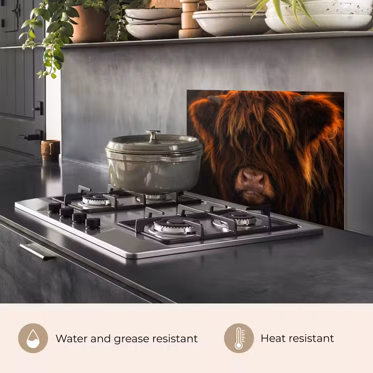 Kitchen splashback for hob - Scottish Highlander - Cow - Portrait - Animals — 2