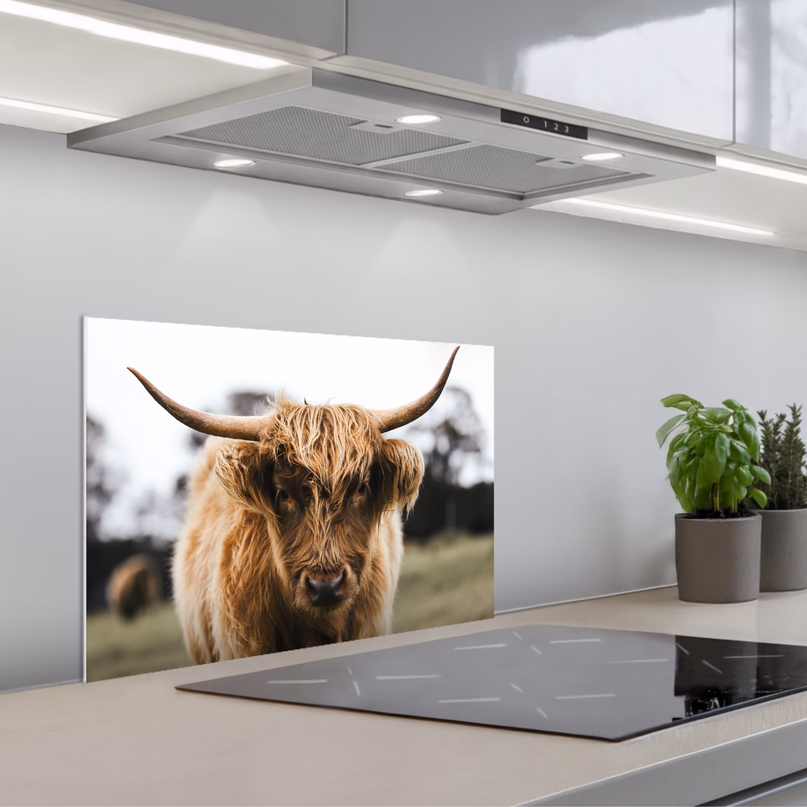 Kitchen splashback for hob - Scottish Highlander - Cow - Grass - Animals - Nature — 1