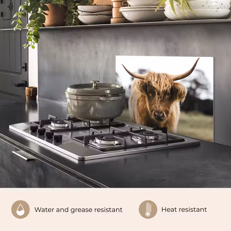 Kitchen splashback for hob - Scottish Highlander - Cow - Grass - Animals - Nature — 2
