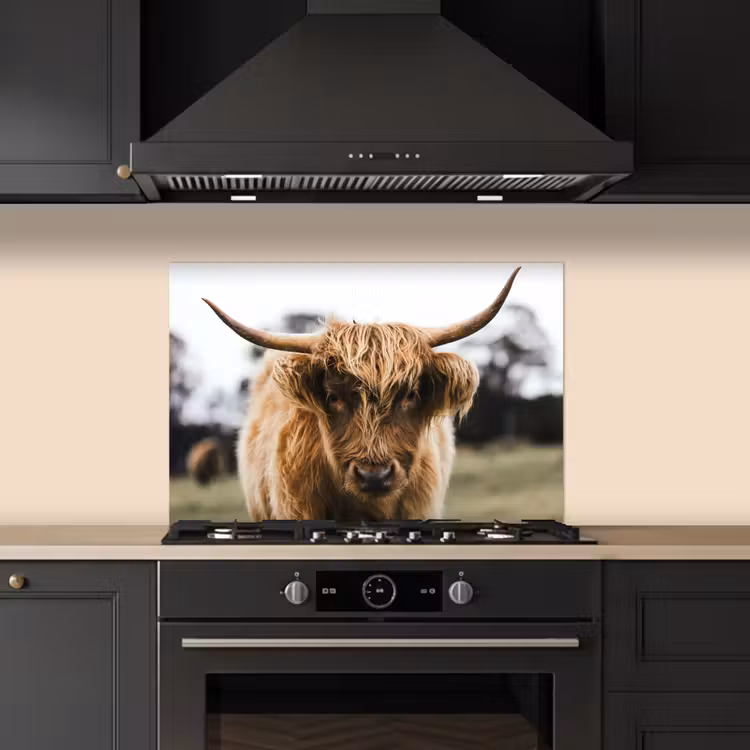 Kitchen splashback for hob - Scottish Highlander - Cow - Grass - Animals - Nature — 5