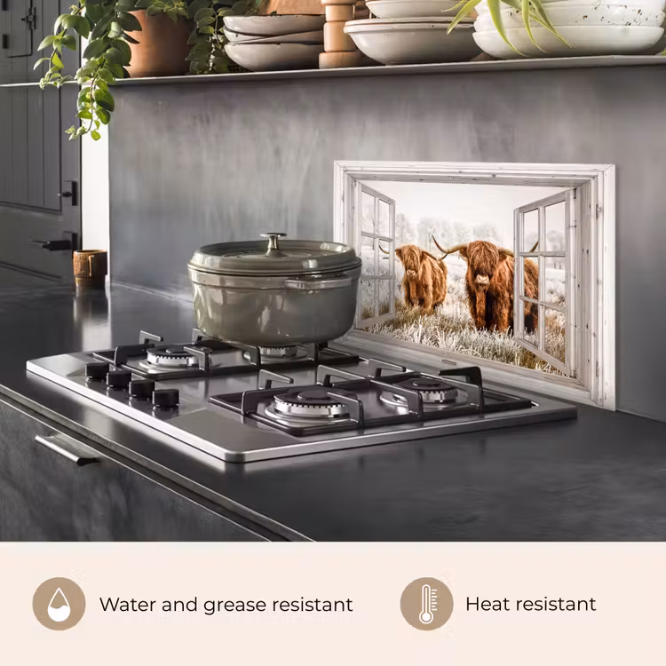 Kitchen splashback for hob - Looking through - Scottish Highlander - Animals — 2
