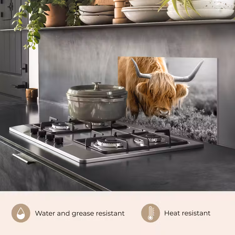 Kitchen splashback for hob - Scottish Highlander - Animals - Brown - Cow - Black - White - Nature — 2