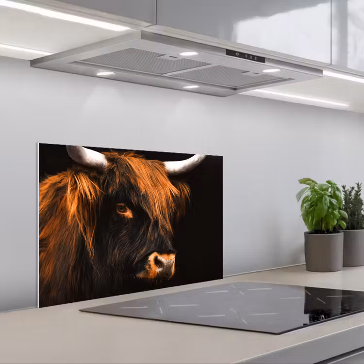 Kitchen splashback for hob - Scottish highlander - Black - Cow - Horn - Animals — 1
