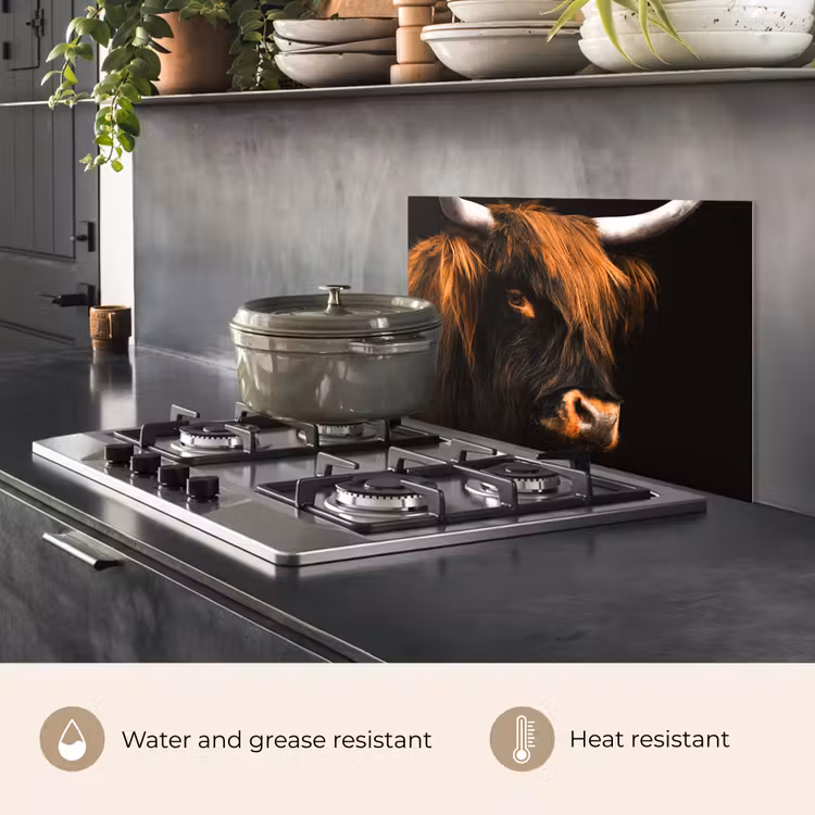 Kitchen splashback for hob - Scottish highlander - Black - Cow - Horn - Animals — 2