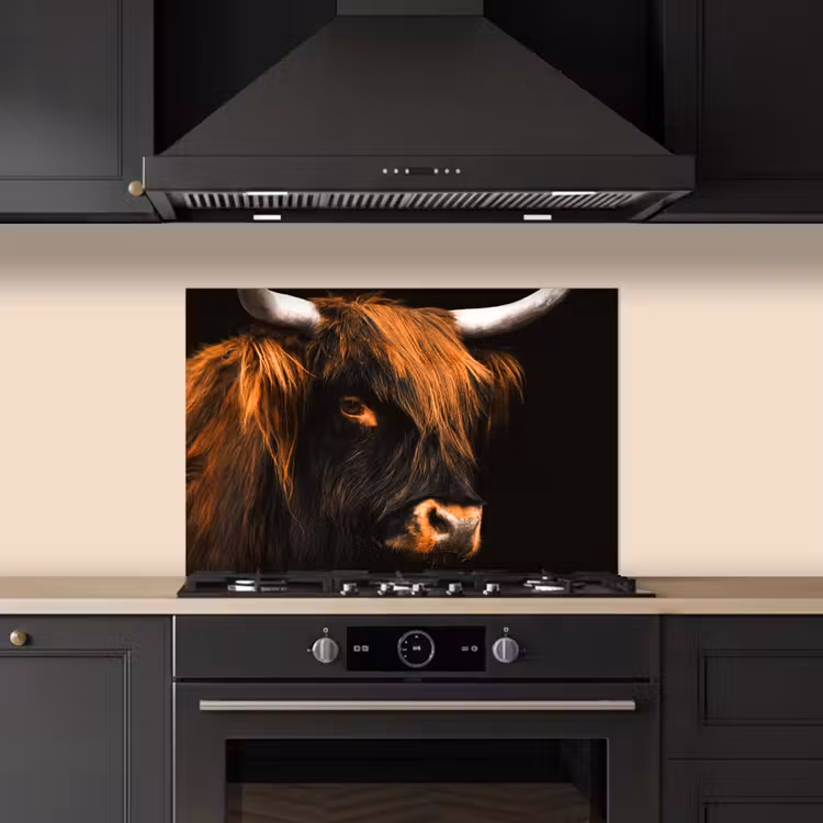 Kitchen splashback for hob - Scottish highlander - Black - Cow - Horn - Animals — 5
