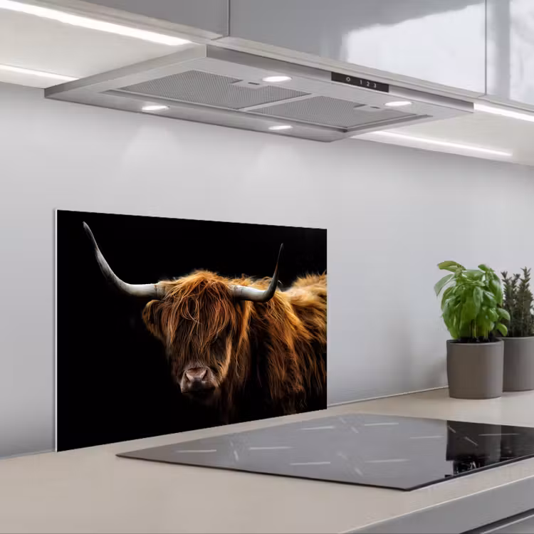 Kitchen splashback for hob - Scottish Highlander - Horns - Black - Animals - Nature - Wild - Cow — 1