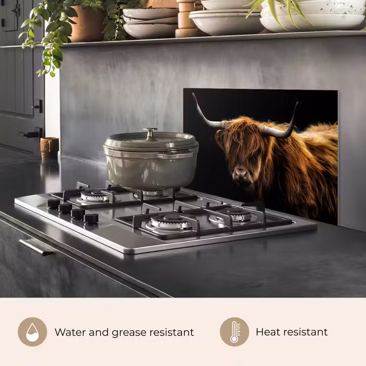 Kitchen splashback for hob - Scottish Highlander - Horns - Black - Animals - Nature - Wild - Cow — 2