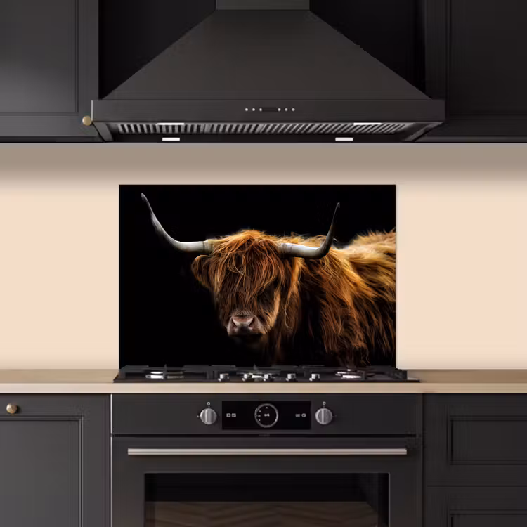 Kitchen splashback for hob - Scottish Highlander - Horns - Black - Animals - Nature - Wild - Cow — 5