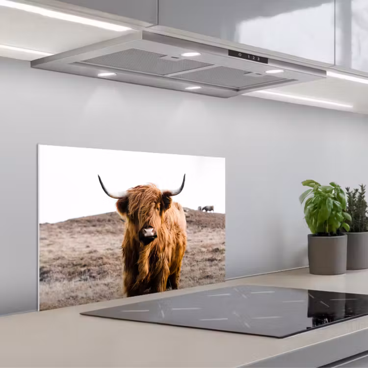 Kitchen splashback for hob - Scottish highlander - Landscape - Cow - Brown - Animals - Nature — 1