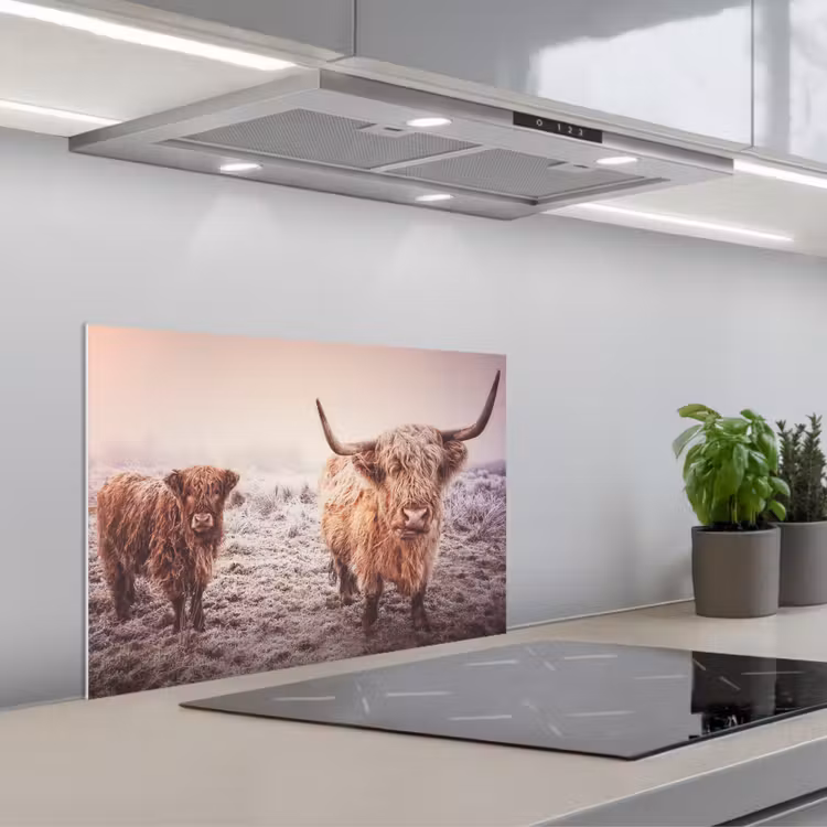 Kitchen splashback for hob - Scottish Highlanders - Snow - Sun — 1