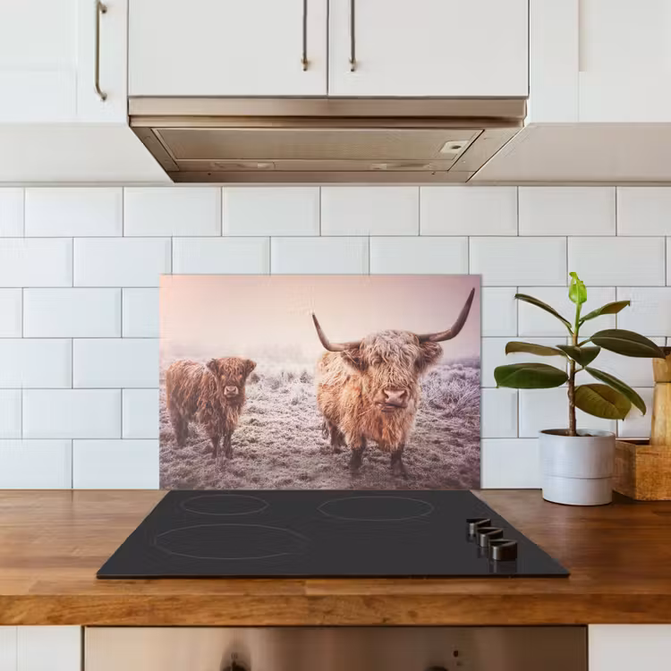 Kitchen splashback for hob - Scottish Highlanders - Snow - Sun — 3