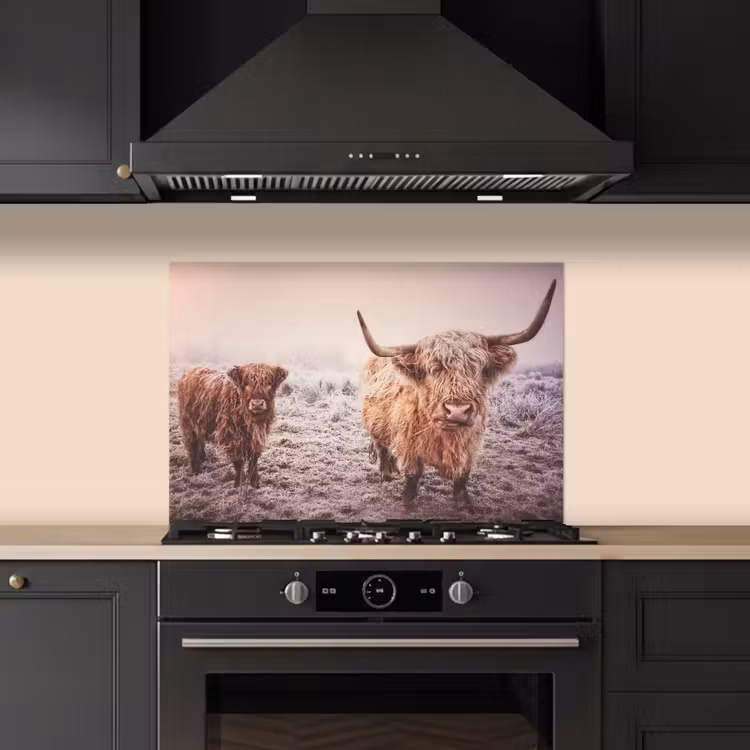 Kitchen splashback for hob - Scottish Highlanders - Snow - Sun — 5