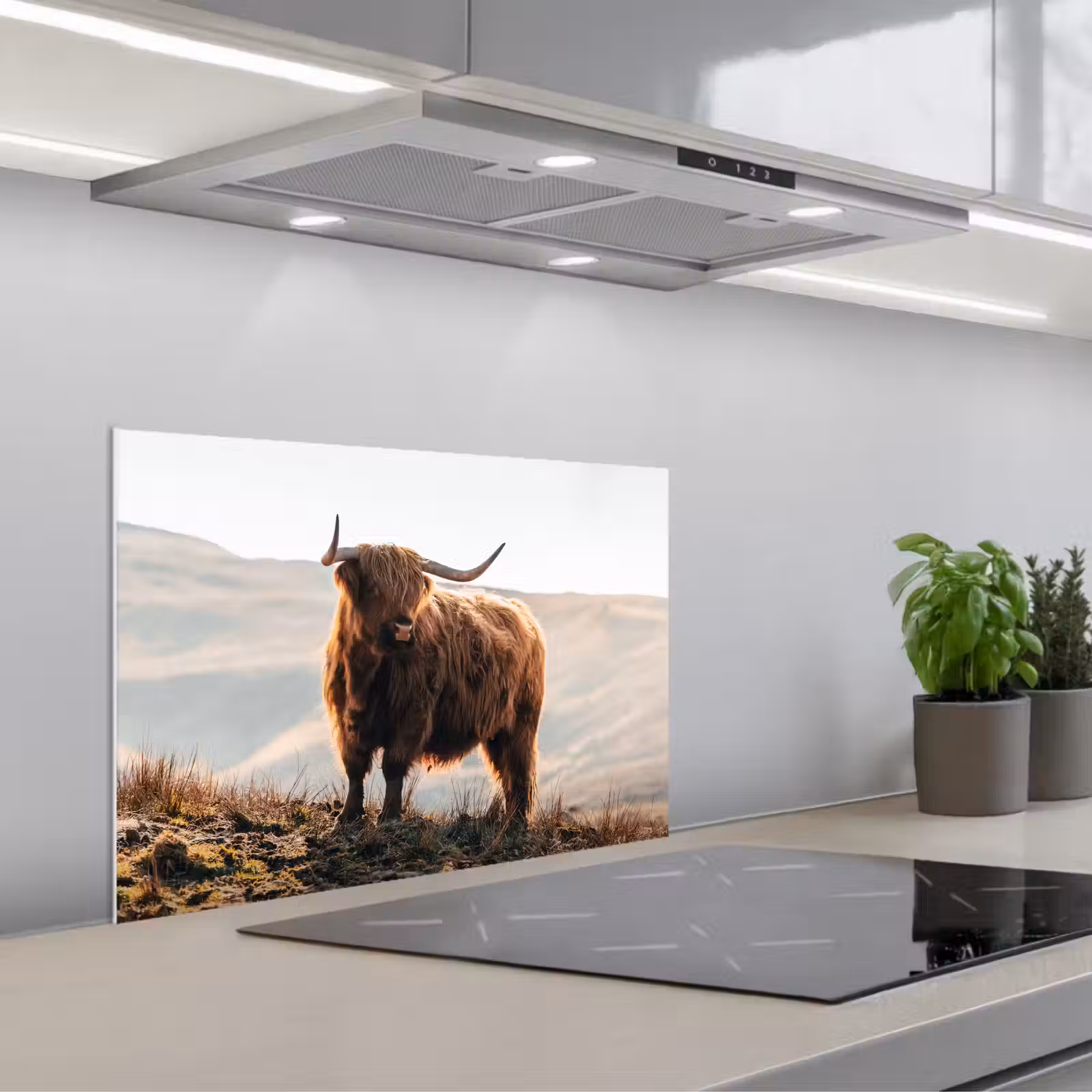 Kitchen splashback for hob - Scottish highlander - Animals - Rural - Landscape - Cow - Nature — 1