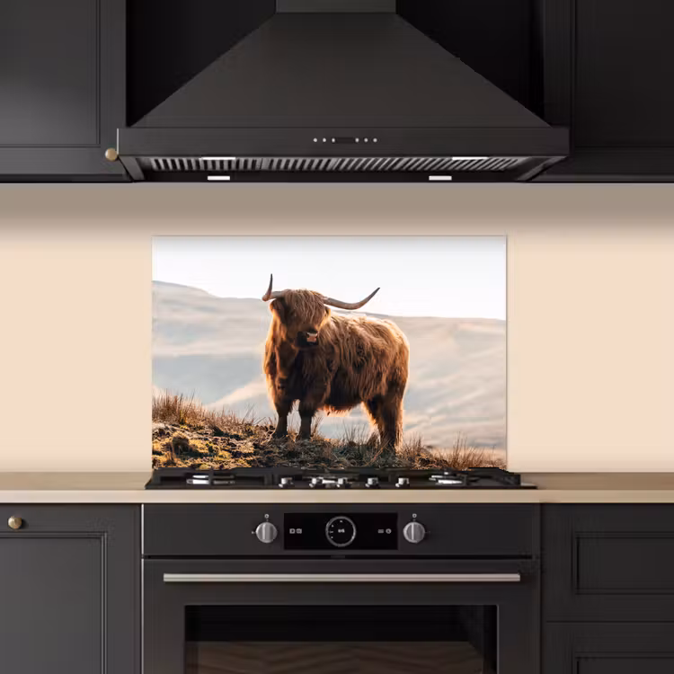 Kitchen splashback for hob - Scottish highlander - Animals - Rural - Landscape - Cow - Nature — 5