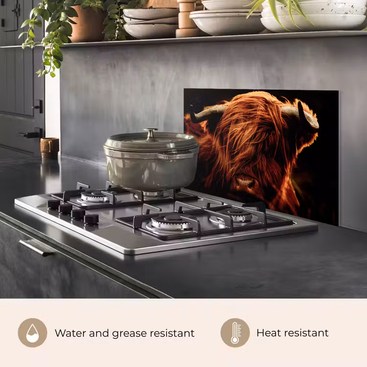Kitchen splashback for hob - Scottish highlander - Cow - Horns - Portrait - Animals — 2