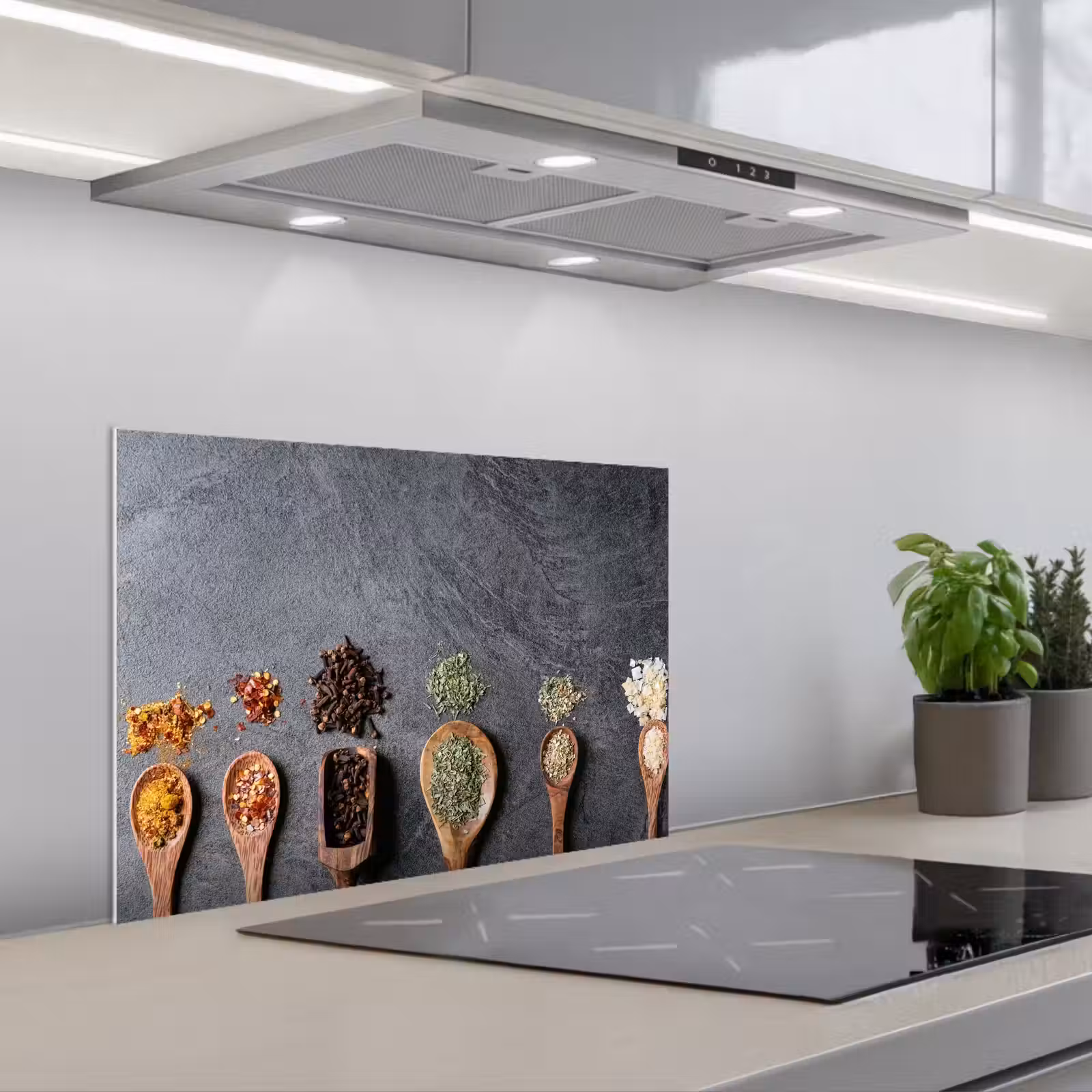 Kitchen splashback for hob - Ladle - Spices - Industrial — 1