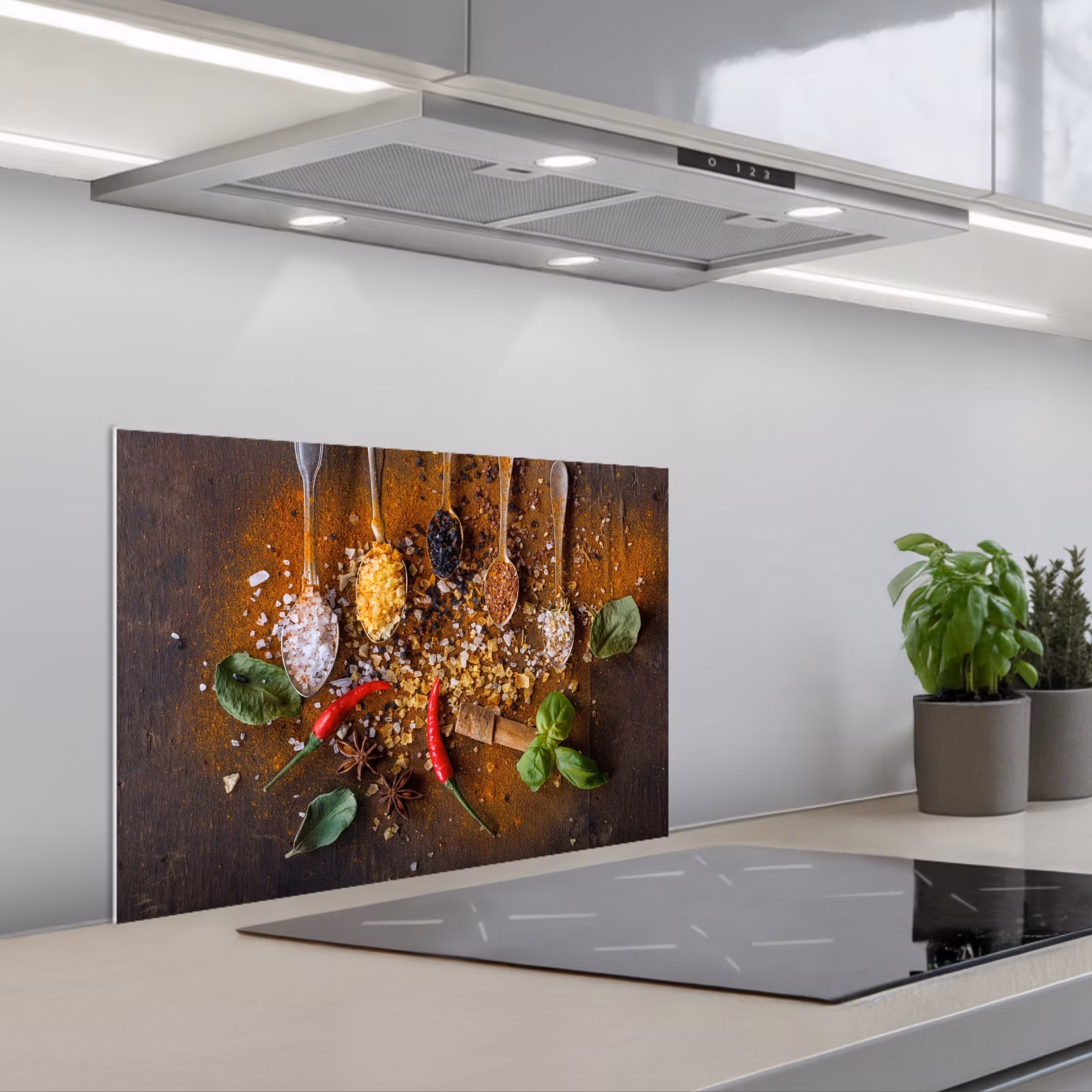 Kitchen splashback for hob - Spoons - Herbs - Chili pepper - Spices - Salt — 1
