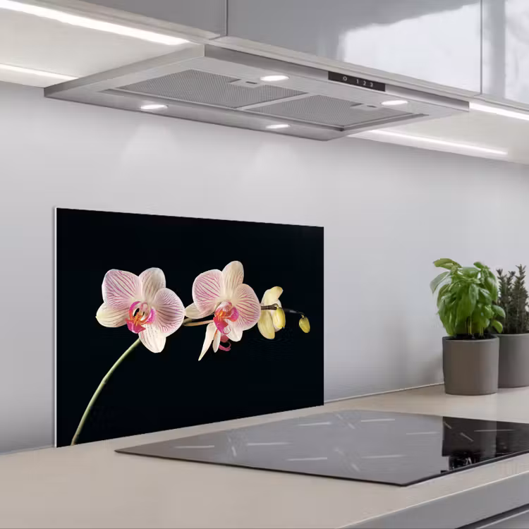 Kitchen splashback for hob - Orchid - Flowers - Black - Pink - Buttons — 1