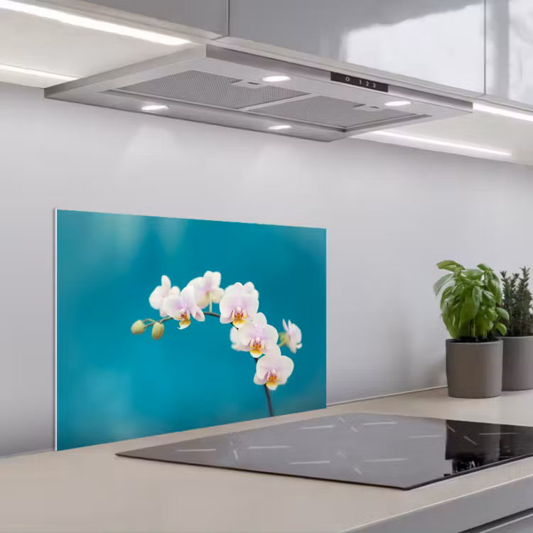 Kitchen splashback for hob - Orchid - Flowers - Plant - White - Purple — 1