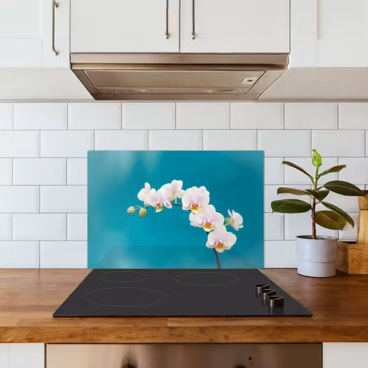 Kitchen splashback for hob - Orchid - Flowers - Plant - White - Purple — 3