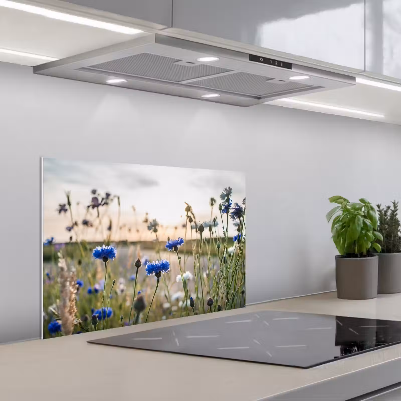 Kitchen splashback for hob - Summer evening with Cornflowers — 1